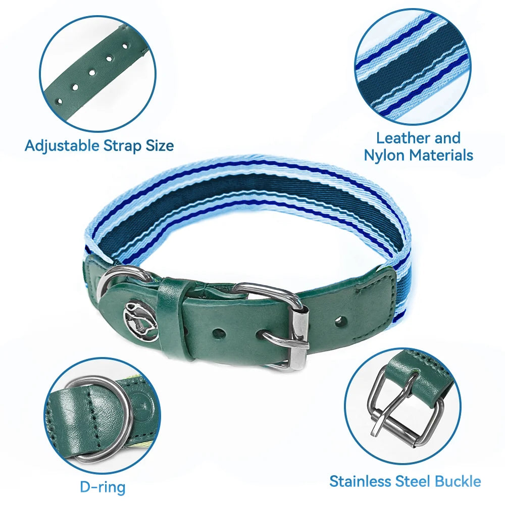 Adjustable Dog Collar and Leash Set for Small Medium Large Dogs (Collar+Leash XS-Neck 12”-32”)