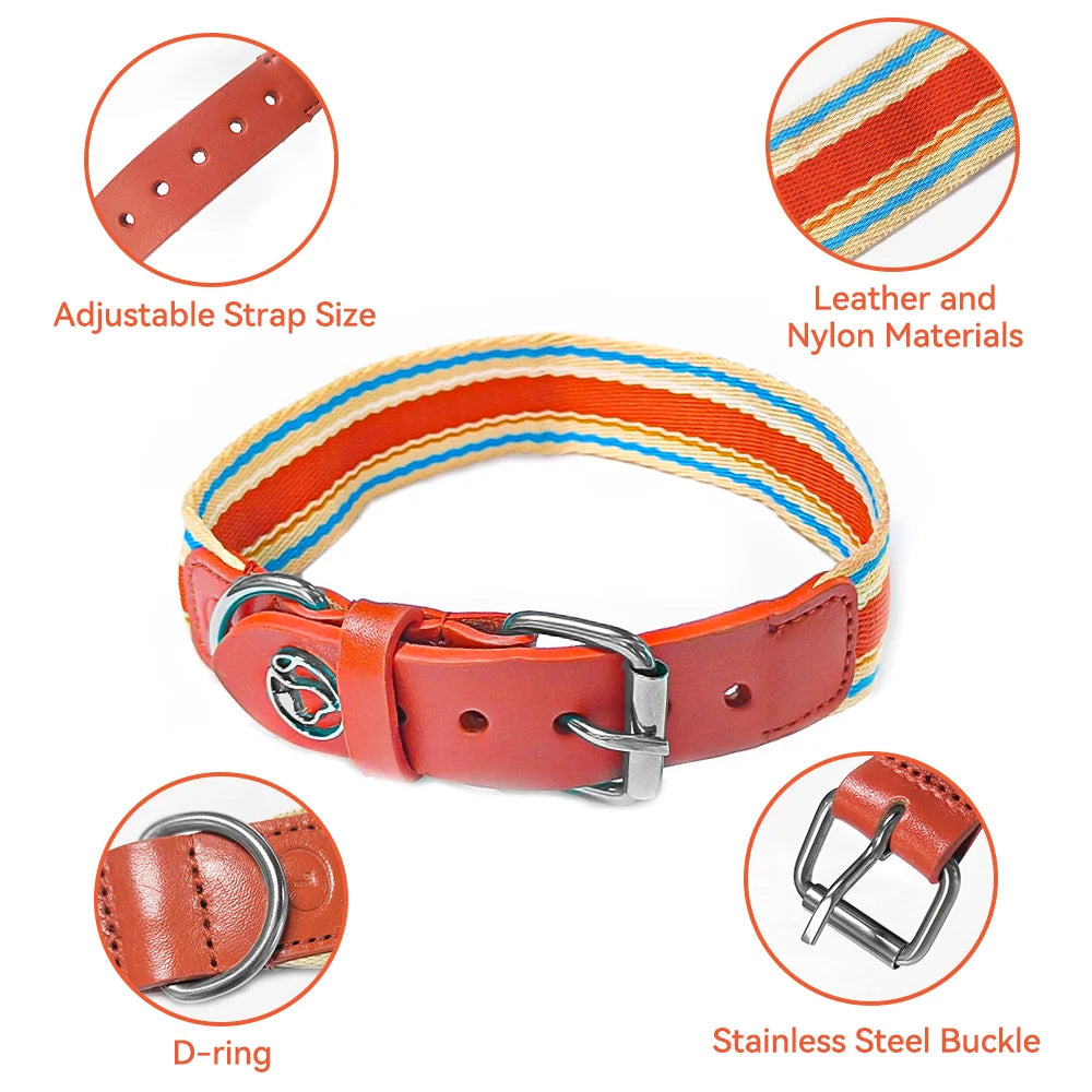 Adjustable Dog Collar and Leash Set for Small Medium Large Dogs (Collar+Leash XS-Neck 12”-32”)