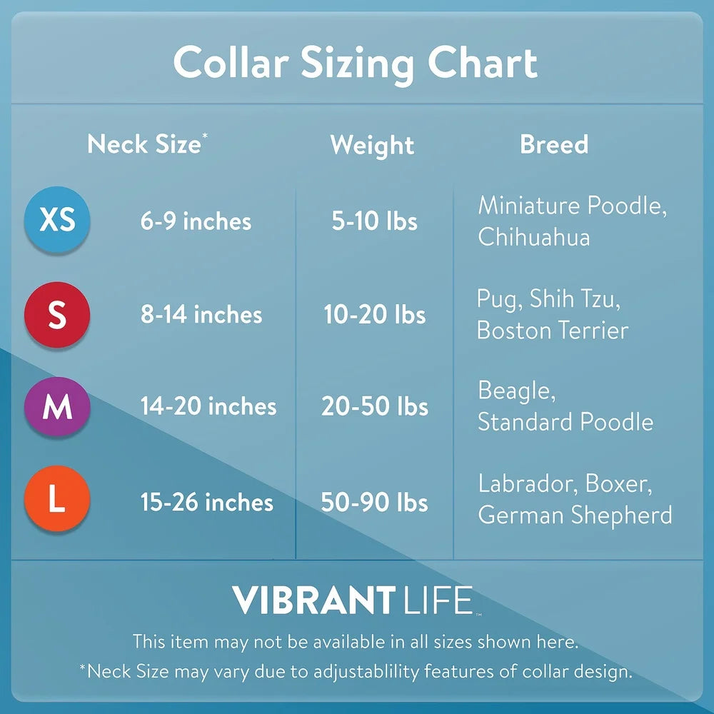 2 Pack Adjustable Polyester Dog Collar X-Small Black Comfortable Leash Attachment D-Ring Secure Prong Buckle Fashionable Fit