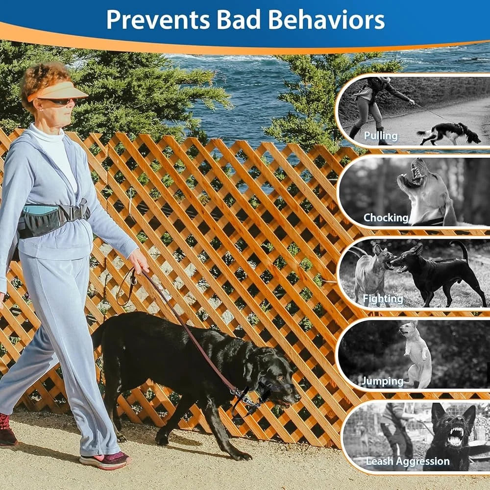 No Pull Dog Head Collar Training Harness Medium Large Dogs Gentle Control Adjustable Comfortable Fit Training Guide Included