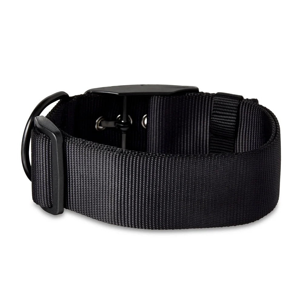 2 Pack Adjustable Polyester Dog Collar X-Small Black Comfortable Leash Attachment D-Ring Secure Prong Buckle Fashionable Fit