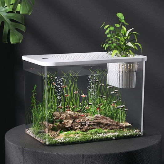 PET+ABS Transparent with Lid Aquarium Drop Resistant Hydroponic Tank Turtle Tank Fish Tank
