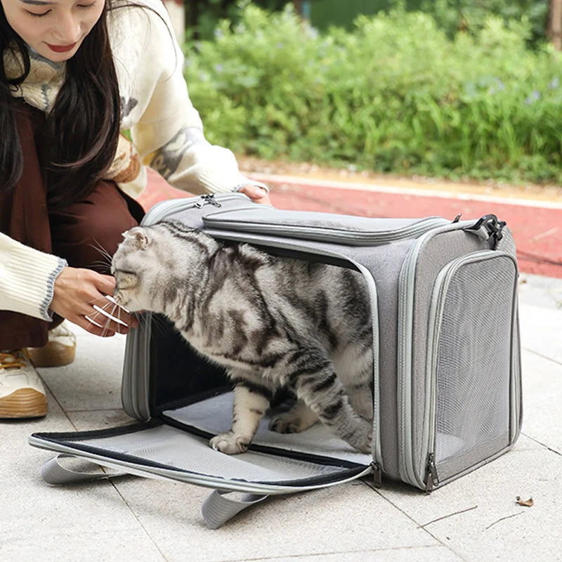 Portable Dog Cat Carrier Bag Soft Side Backpack Pet Carriers Dog Travel Bags Airline Approved Transport Outgoing Pets Handbag