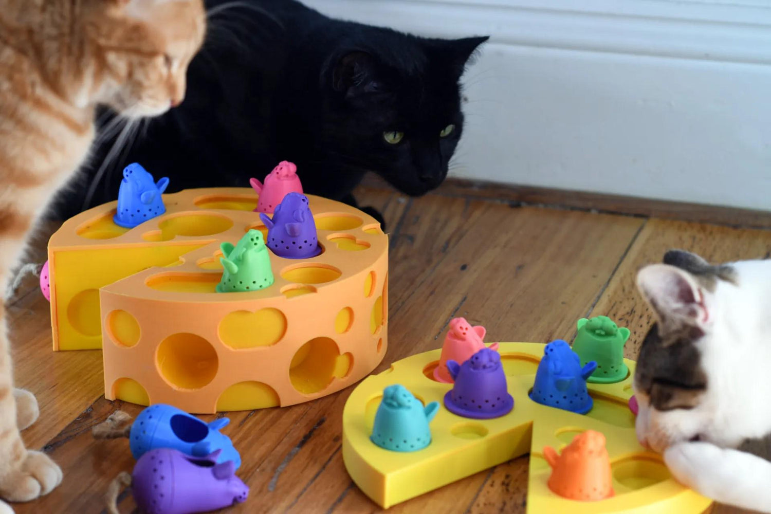 Cat Toys