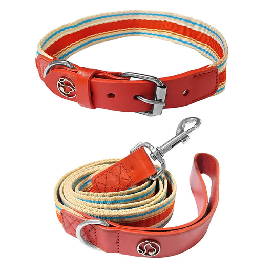 Adjustable Dog Collar and Leash Set for Small Medium Large Dogs (Collar+Leash XS-Neck 12”-32”)