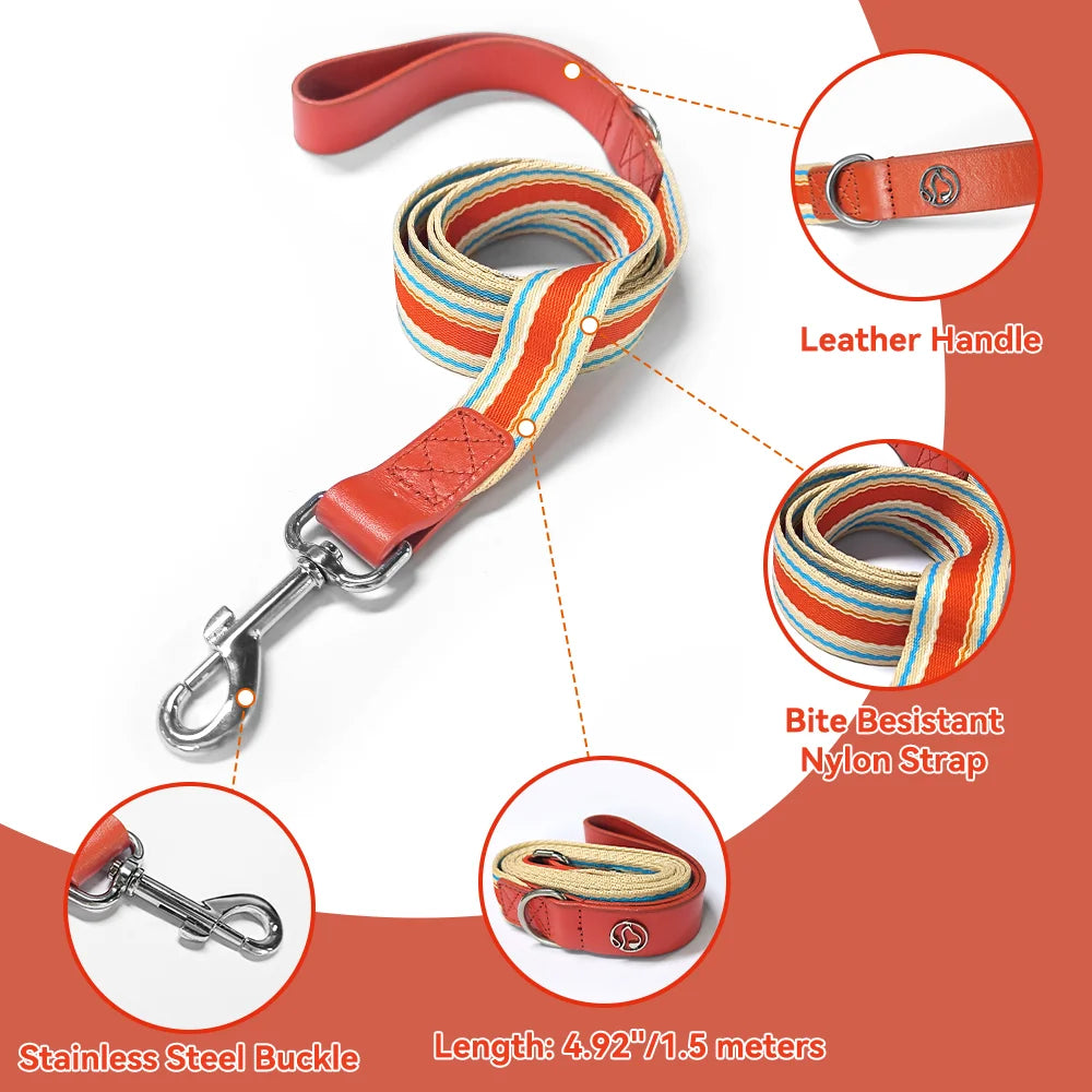 Adjustable Dog Collar and Leash Set for Small Medium Large Dogs (Collar+Leash XS-Neck 12”-32”)