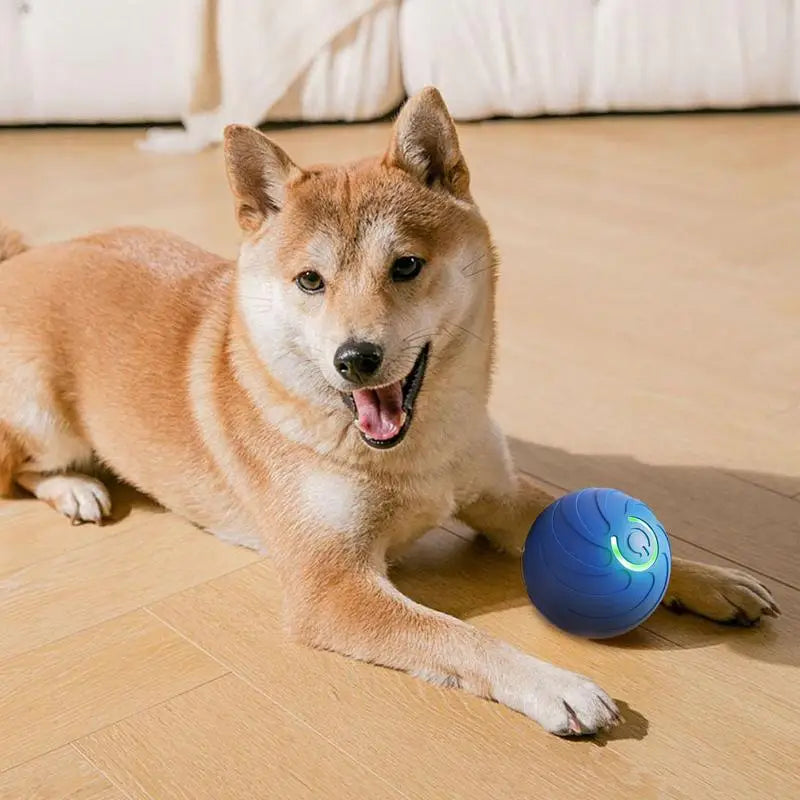 Intelligent Interactive Pet Toy Ball Rechargeable TPR Cat Toys Interactive For Cats Training Interactive Cat Toys Ball Fast