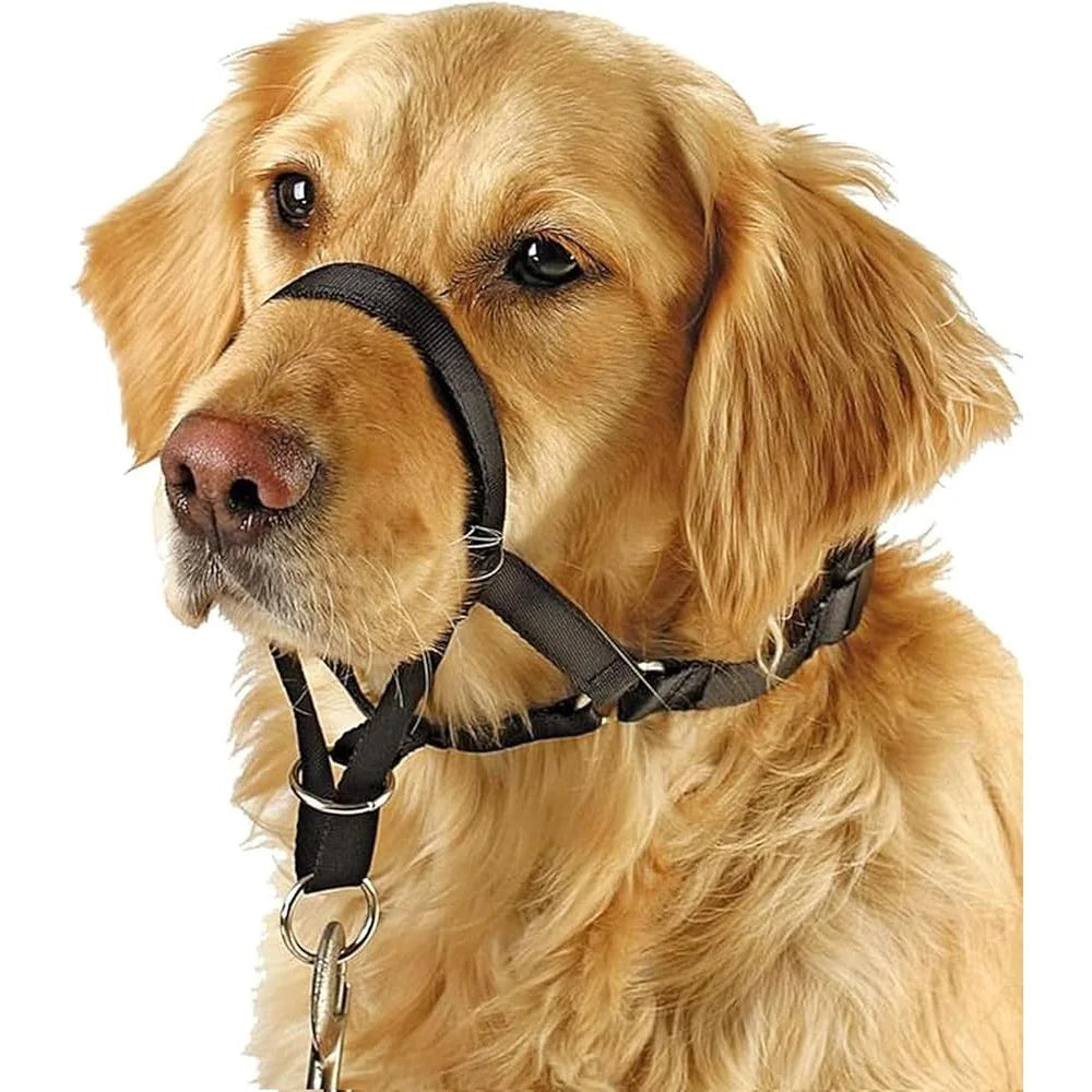 No Pull Dog Head Collar Training Harness Medium Large Dogs Gentle Control Adjustable Comfortable Fit Training Guide Included