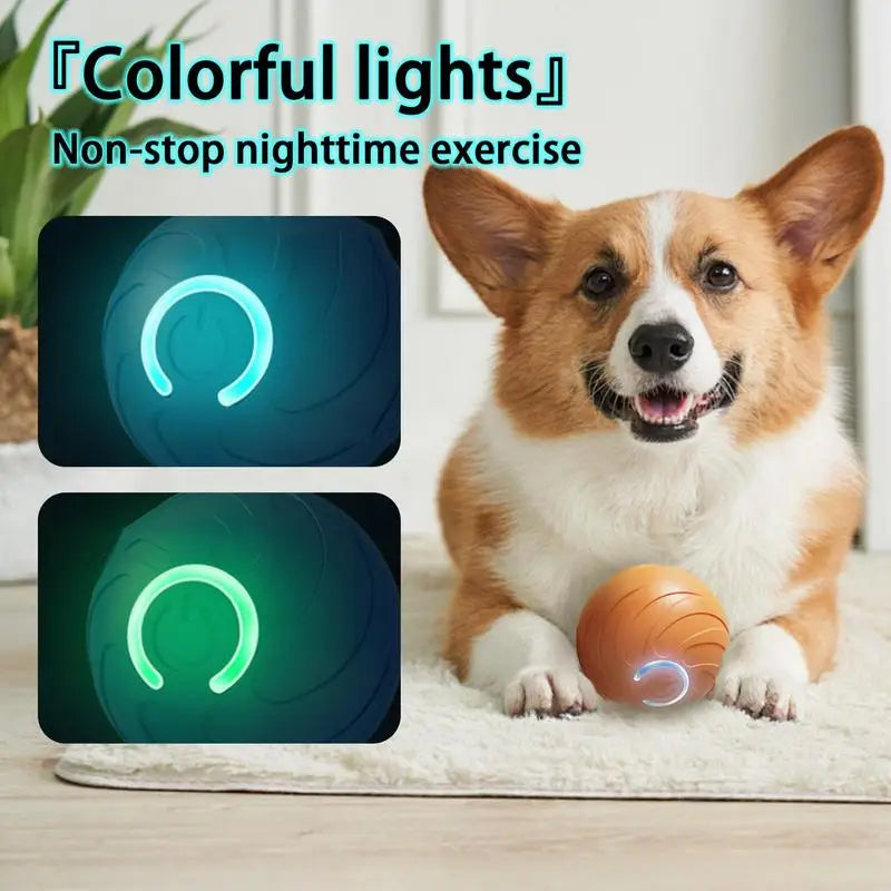 Intelligent Interactive Pet Toy Ball Rechargeable TPR Cat Toys Interactive For Cats Training Interactive Cat Toys Ball Fast